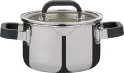 Spring Fusion2+ Hoge Kookpan Met Glasdeksel ø 16 Cm 2 Liter Rvs