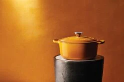 Le Creuset Signature Braadpan 3,3 Liter ø 22 Cm Gietijzer Nectar -Keukengerei Verkoop le creuset braadpan 1
