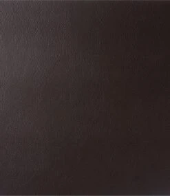 Finesse Skin Natur Brick Placemat 35 X 45 Cm Leer Coffee Bean -Keukengerei Verkoop skin01002 2 onderzetter 2 1